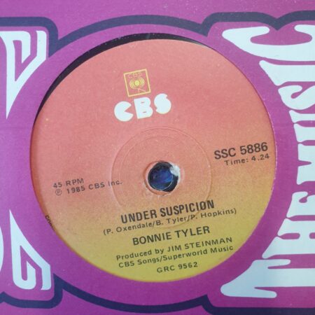 Bonnie Tyler - Under Suspicion