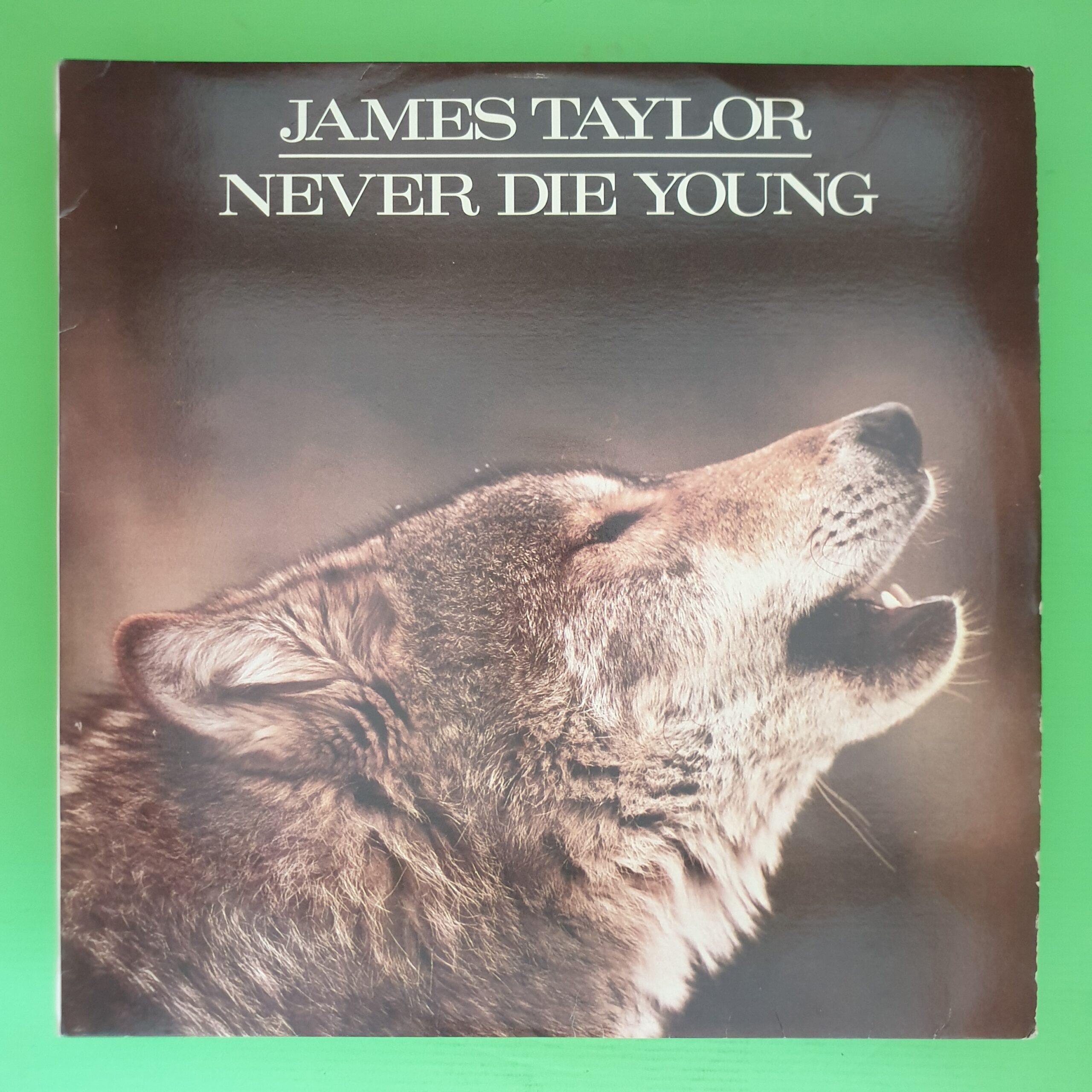James Taylor - Never Die Young