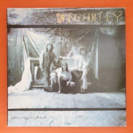 Shaking Family - Dreaming In Detail