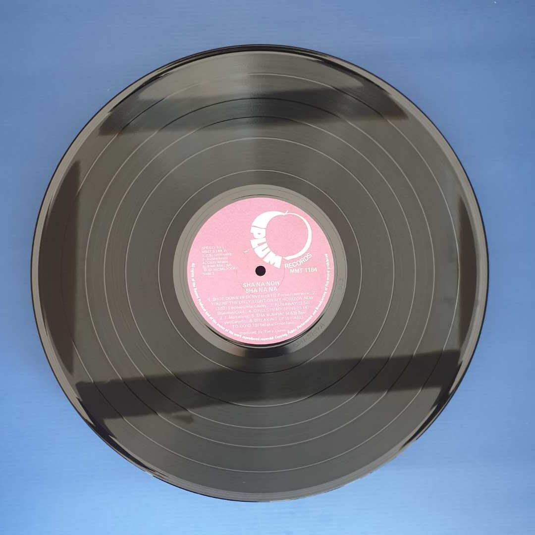 Sha Na Na - Sha Na Now - Image 3