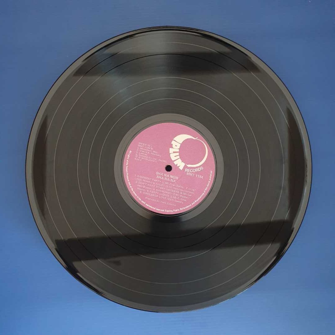 Sha Na Na - Sha Na Now - Image 4
