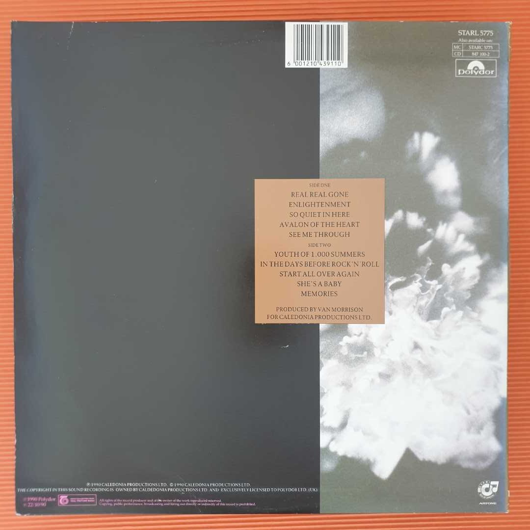 Van Morrison - Enlightenment - Image 2