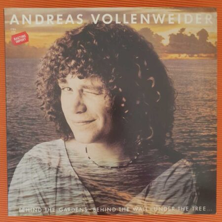 Andreas Vollenweider - Behind The Gardens