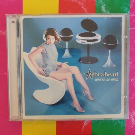 Zebrahead - Waste Of Mind