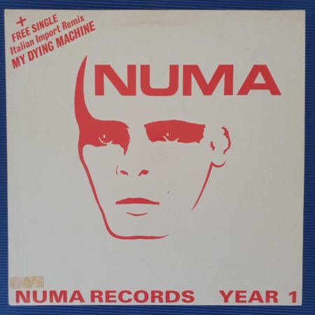 Numa - Numa Records Year 1
