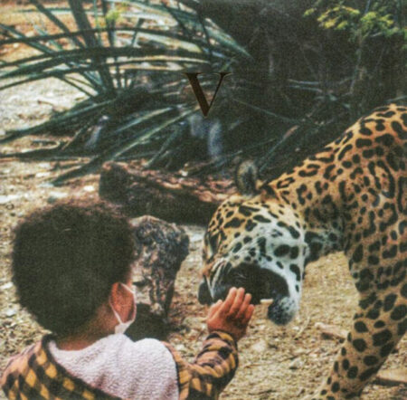Unknown Mortal Orchestra - V (Legendary Edition 2x Vinyl LP)