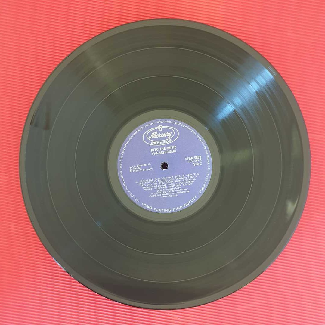 Van Morrison - Into The Music - Image 3