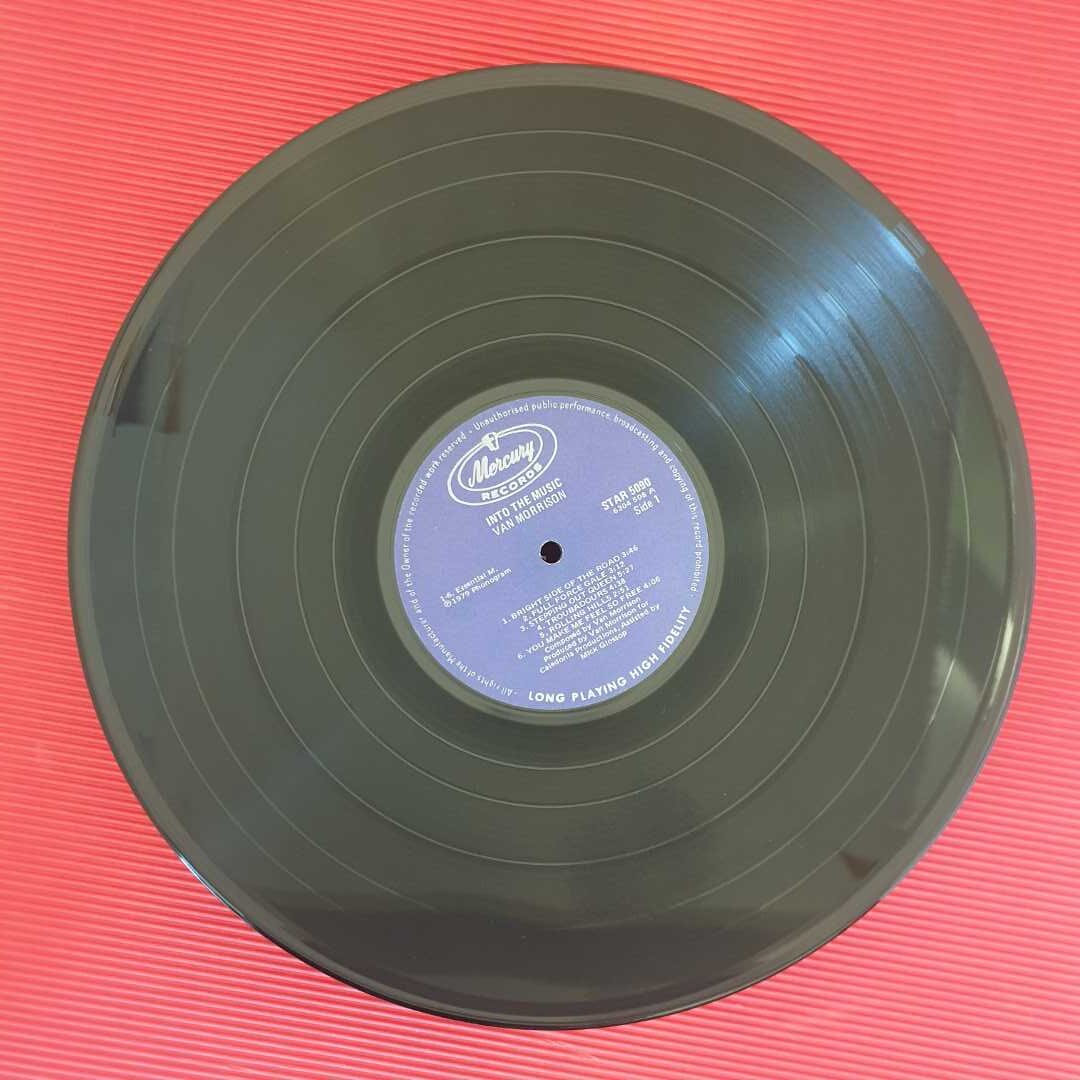 Van Morrison - Into The Music - Image 4
